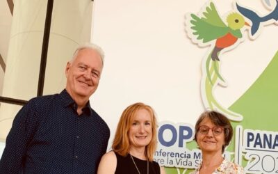 CITES Approves Revision to Pernambuco Listing